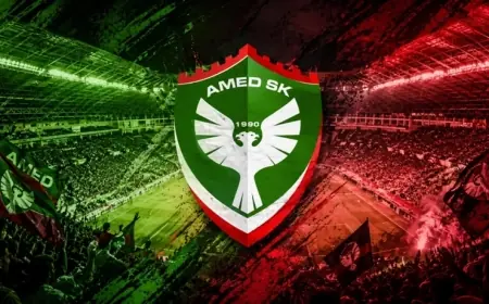 PFDK'nin Amedspor'a kestiği ceza belli oldu