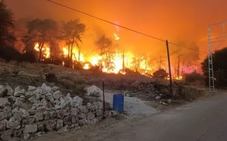 Antalya’da ''Yangınlardan Kürtler sorumludur'' paylaşımına soruşturma