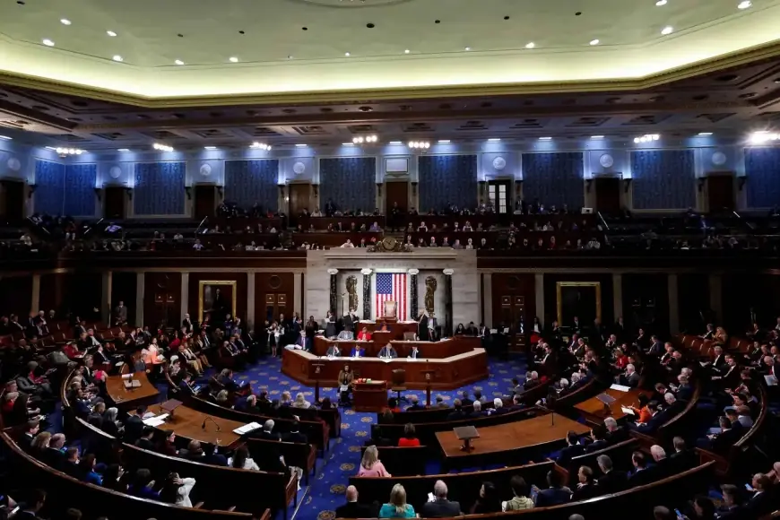 ABD Demokratları Trump yönetimi için soruşturma hazırlığında