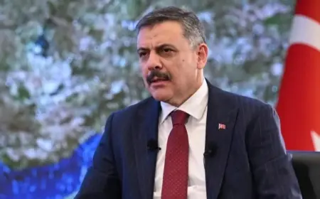 İçişleri Bakanı Çiftçi’den çözüm süreci açıklaması: MGK kararını işaret etti