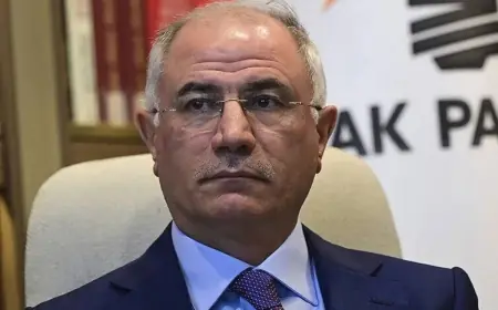 Efkan Ala'dan süreç açıklaması: Alt kurullar sahada çalışmaya başladı