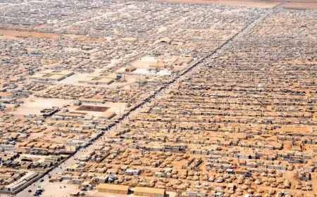 Uluslararası Göç Örgütü: Suriye ve Rojava’da 5,7 milyon göçmen var