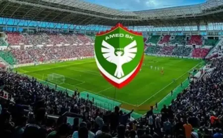 PFDK’den Amedspor’a ceza