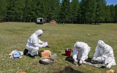 Rusya'da veba şüphesi: Laboratuvar çalışanı öldü, 189 kişi karantinaya alındı
