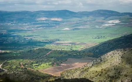 Dr. İsmail Hesaf: Golan'da 164 Kürt köyü vardı