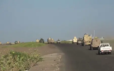 Yemen hükümeti stratejik Muha kentini Husilerden geri aldı