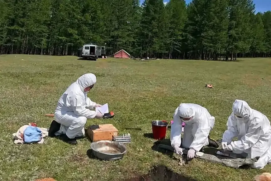 Rusya'da veba şüphesi: Laboratuvar çalışanı öldü, 189 kişi karantinaya alındı