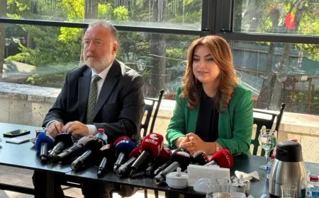 DEM Parti: 'Çerçeve yasa üzerinden MGK vesayeti kalkmalı'