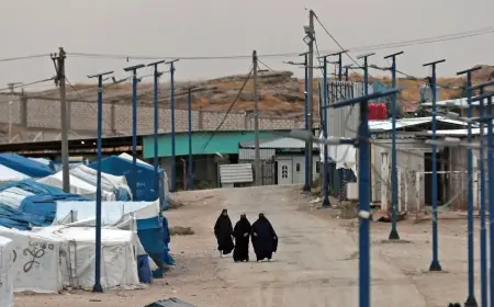 2 bin 200 IŞİD'li aile hâlâ Kürtlerin yönettiği kampta yaşıyor