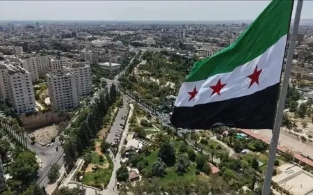 Esad’ın yakın çevresinden el konulan 50 milyar dolarlık servet fona aktarıldı