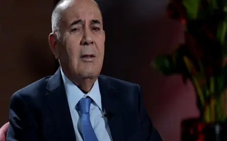 Sadi Ahmed Pire: YNK ve KDP sorunların çözümü için adım atmaya kararlı