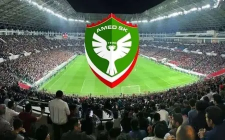 TFF’den Amedspor dahil 5 kulübe ceza