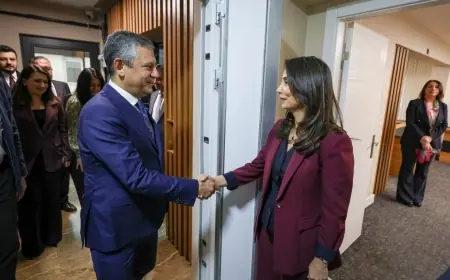 DEM Parti bugün Yeni Parti'yi ziyaret edecek