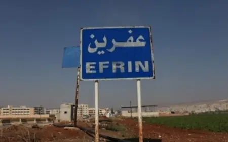 BM Raportöründen Afrin açıklaması