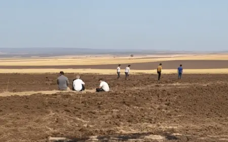 Rojava’da toprak gerilimi: Köylüler arazilerini geri istiyor