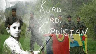 PKK çawa dest pê kir?