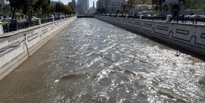 Sûriye : Artêşa Sûriyê derbasî Eyn Fîceyê bû