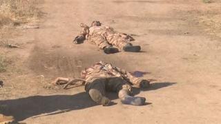 DAIŞê careke din êrîşê Kerkûkê kir!