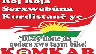  Ji bo piştgirîya Referandûma li Danîmarka konser