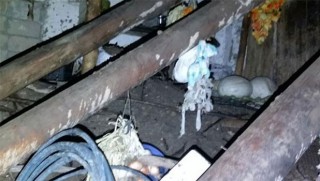 Li Sêrtê xaniyek hilweşiya: Mir û birîndar hene