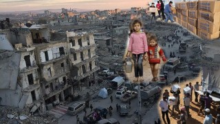 Biryara Alîkarîya Mirovî û Tirkîye