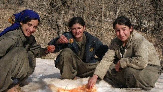 Biranînek Ji Rojnivîsa Gerîlayek Jin Beşa II. 'Yekîneya Bikêşe!'