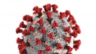 Hejmara Taybet - Psychology Kurdî