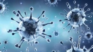 Kurdistan: 47 kes bi koronayê ketin û kesek jî mir 