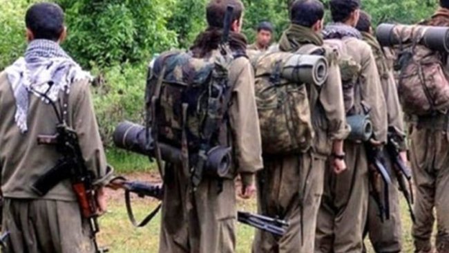 Serkirdeyên PKK û Kurdkujî!