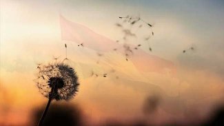 Bê dewletî û berjewendî…