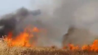 Li Daqûqê agir bi zeviyên genim ket