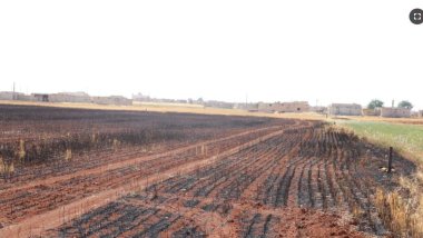 Zeviyên Herêma Şehba Jiber Topbarana Tirkiyê Dişewit In