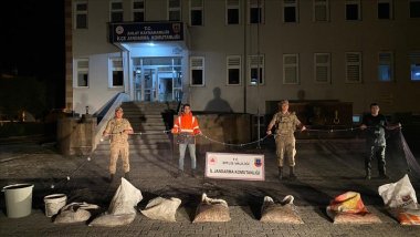 Li Bidlîsê ton û nîv încî kefaliyên ku bi qaçaxî hatine girtin, hatin dîtin