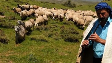 Jiyan û rewşa şivanê Kurda