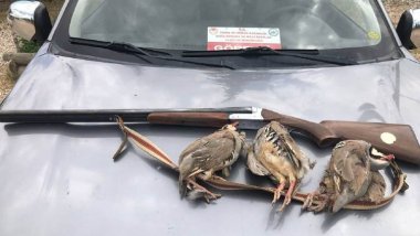 Li Dêrsimê ceza dan nêçîrvanekî kewan