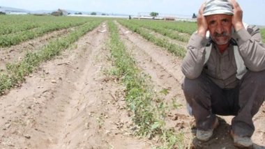 Li Tirkiyê û Bakurê Kurdistanê rêjeya cotkarên deyndar ji &#37;168 zêde bûne