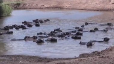 Ajeldarên Mûşê rojane 8 demjimêran gamêşên xwe dixin nav çem