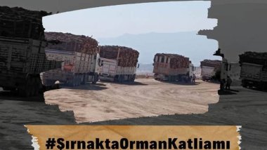 Baroya Şirnexê: Em dixwazin kiryarên darbirînê bên diyarkirin