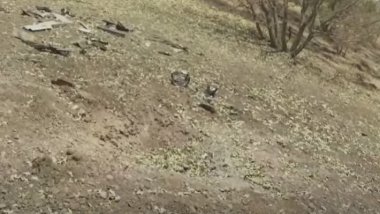 Li Duhokê dronek ket