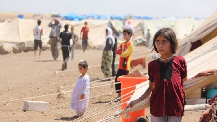 Neteweyên Yekbûyî: Divê em ji bo xelkê Şingalê kar bikin