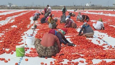 Firingiyên Amedê bo Amerîka, Kanada û welatên Ewropayê tên şandin