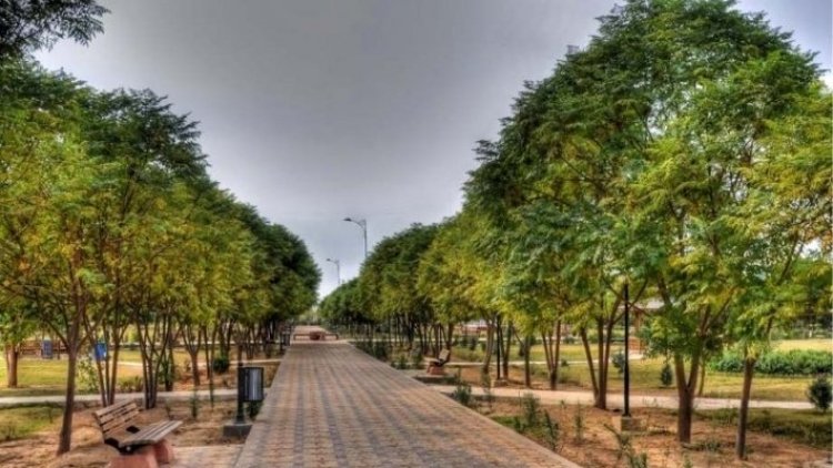 100 milyon dar li bajarê Hewlêrê tên çandin