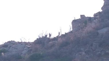 Artêşa Tirkiyê li keleha dîrokî ya Bêtenûrê leşkerên xwe bicih kirin