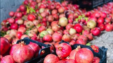 Kurdistan piştî hinaran dê sê berhemên din jî hinarde bike