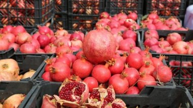 Kurdistan piştî hinaran dê sê berhemên din jî hinarde bike
