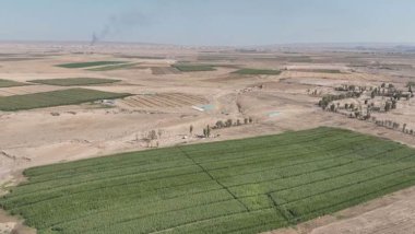 Kerkûk: Erebên hawirde gefan li cotkarekî Kurd dixwin