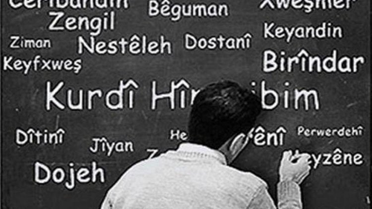 Zana Farqînî: Ji bo xebatên ziman xweşbîn im