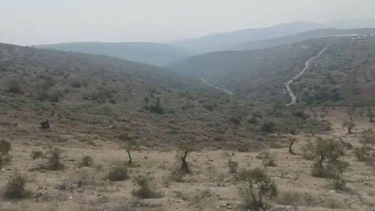 Daristaneke Efrînê bi temamî ji aliyê çekdaran ve hatiye birrîn