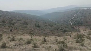 Daristaneke Efrînê bi temamî ji aliyê çekdaran ve hatiye birrîn