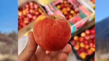 Hikûmeta Herêma Kurdistanê kar li ser hinardekirina sêvên Berwarî dike